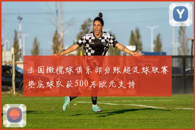法国橄榄球俱乐部分账超足球联赛垫底球队获500万欧元支持